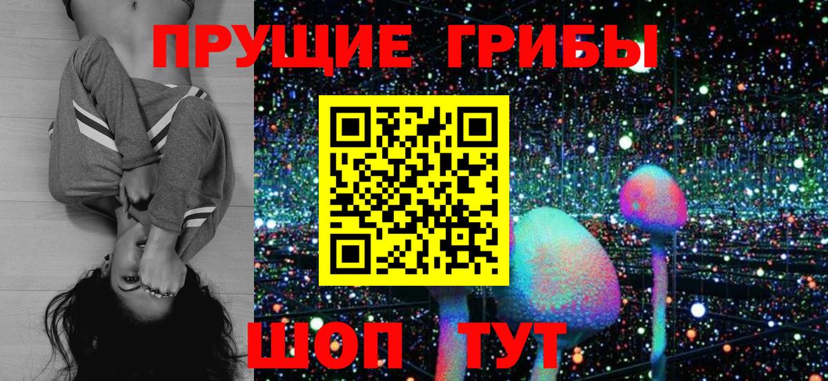 Сланцы  Псилоцибиновые грибы ЛСД  Вход с VPN  Псилоцибиновые грибы ЛСД 