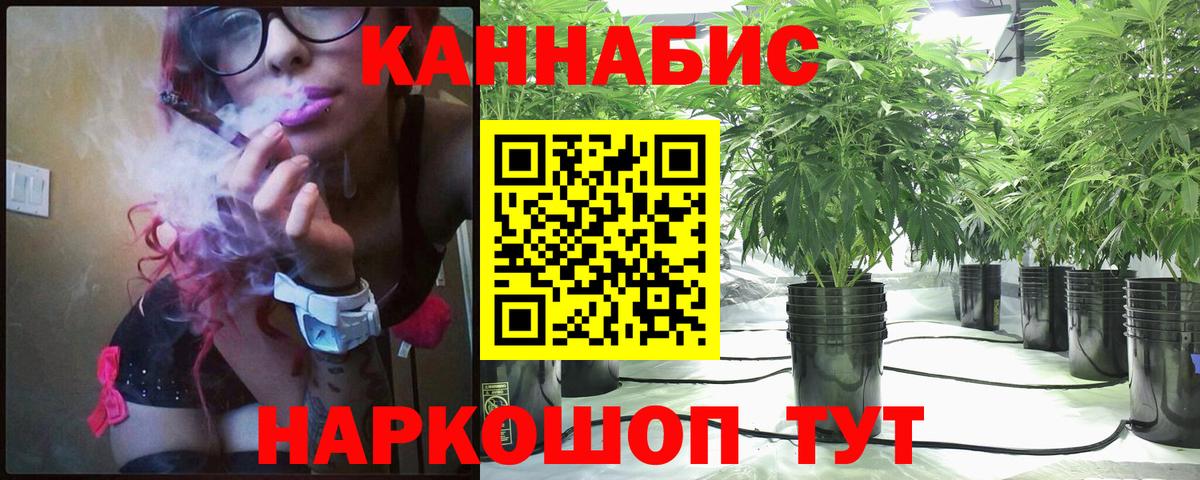 МАРИХУАНА планчик Сланцы